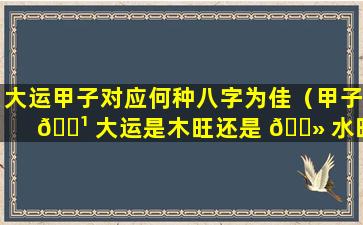 大运甲子对应何种八字为佳（甲子 🌹 大运是木旺还是 🌻 水旺）